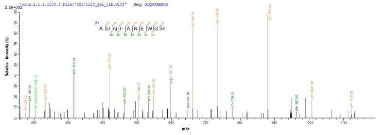 Based on the SEQUEST from database of E.coli host and target protein, the LC-MS/MS Analysis result of this product could indicate that this peptide derived from E.coli-expressed Mus musculus (Mouse) SAA3.Recombinant Mouse Serum Amyloid A-3 Protein (SAA3) Protein (His)