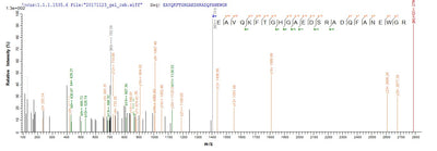 Based on the SEQUEST from database of E.coli host and target protein, the LC-MS/MS Analysis result of this product could indicate that this peptide derived from E.coli-expressed Mus musculus (Mouse) SAA3.Recombinant Mouse Serum Amyloid A-3 Protein (SAA3) Protein (His)