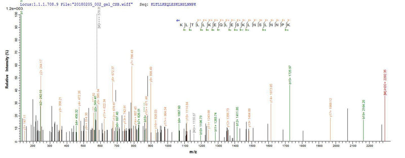 Based on the SEQUEST from database of E.coli host and target protein, the LC-MS/MS Analysis result of this product could indicate that this peptide derived from E.coli-expressed Plasmodium falciparum (isolate K1 / Thailand) MSP-1.Recombinant Plasmodium Falciparum Merozoite Surface Protein 1 (MSP-1) Protein (His)