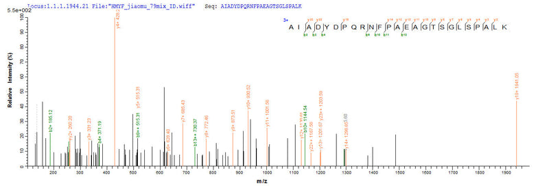 Based on the SEQUEST from database of E.coli host and target protein, the LC-MS/MS Analysis result of this product could indicate that this peptide derived from E.coli-expressed Synechococcus sp. (strain ATCC 27144 / PCC 6301 / SAUG 1402/1) (Anacystis nidulans) phr.Recombinant Synechococcus Sp. Deoxyribodipyrimidine Photo-Lyase (PHR) Protein (His-SUMO&Myc)