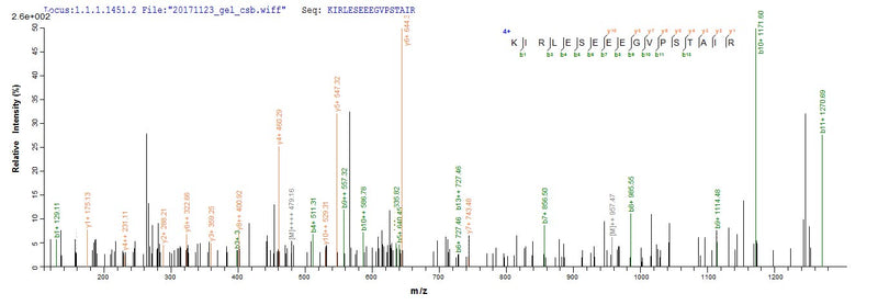 Based on the SEQUEST from database of E.coli host and target protein, the LC-MS/MS Analysis result of this product could indicate that this peptide derived from E.coli-expressed Homo sapiens (Human) CDK1.Recombinant Human Cyclin-Dependent Kinase 1 (CDK1) Protein (His)