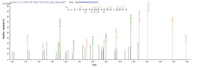 Based on the SEQUEST from database of E.coli host and target protein, the LC-MS/MS Analysis result of this product could indicate that this peptide derived from E.coli-expressed Homo sapiens (Human) CDK1.Recombinant Human Cyclin-Dependent Kinase 1 (CDK1) Protein (His)
