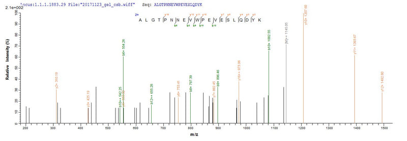 Based on the SEQUEST from database of E.coli host and target protein, the LC-MS/MS Analysis result of this product could indicate that this peptide derived from E.coli-expressed Homo sapiens (Human) CDK1.Recombinant Human Cyclin-Dependent Kinase 1 (CDK1) Protein (His)