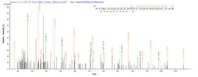 Based on the SEQUEST from database of E.coli host and target protein, the LC-MS/MS Analysis result of this product could indicate that this peptide derived from E.coli-expressed Human papillomavirus type 18 E7.Recombinant Human Papillomavirus Type 18 Protein E7 (E7) Protein (His)