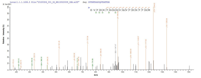 Based on the SEQUEST from database of E.coli host and target protein, the LC-MS/MS Analysis result of this product could indicate that this peptide derived from E.coli-expressed Human parvovirus B19 (isolate AU) (HPV B19) N/A.