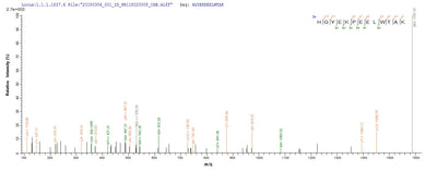 Based on the SEQUEST from database of E.coli host and target protein, the LC-MS/MS Analysis result of this product could indicate that this peptide derived from E.coli-expressed Human parvovirus B19 (isolate AU) (HPV B19) N/A.