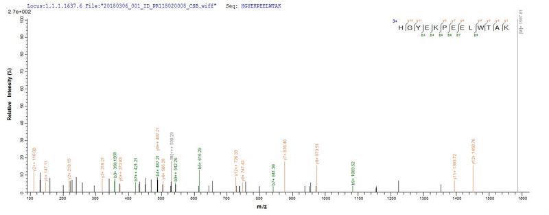Based on the SEQUEST from database of E.coli host and target protein, the LC-MS/MS Analysis result of this product could indicate that this peptide derived from E.coli-expressed Human parvovirus B19 (isolate AU) (HPV B19) N/A.