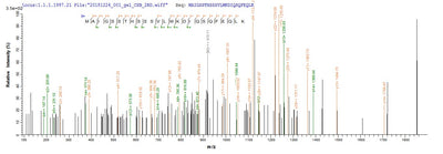 Based on the SEQUEST from database of E.coli host and target protein, the LC-MS/MS Analysis result of this product could indicate that this peptide derived from E.coli-expressed Influenza B virus (strain B/Yamagata/1/1973) NS.Recombinant Influenza B Virus Nuclear Export Protein (NS) Protein (His&Myc)