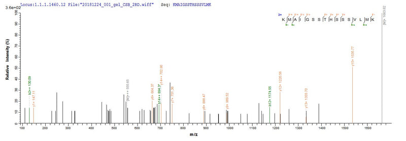 Based on the SEQUEST from database of E.coli host and target protein, the LC-MS/MS Analysis result of this product could indicate that this peptide derived from E.coli-expressed Influenza B virus (strain B/Yamagata/1/1973) NS.Recombinant Influenza B Virus Nuclear Export Protein (NS) Protein (His&Myc)