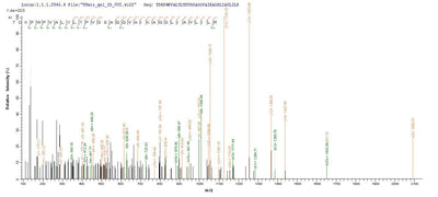 Based on the SEQUEST from database of E.coli host and target protein, the LC-MS/MS Analysis result of this product could indicate that this peptide derived from E.coli-expressed Escherichia coli (strain K12) fimH.Recombinant E.Coli Type 1 Fimbrin D-Mannose Specific Adhesin (FIMH) Protein (His-GST)