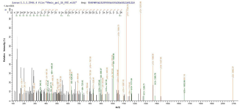 Based on the SEQUEST from database of E.coli host and target protein, the LC-MS/MS Analysis result of this product could indicate that this peptide derived from E.coli-expressed Escherichia coli (strain K12) fimH.Recombinant E.Coli Type 1 Fimbrin D-Mannose Specific Adhesin (FIMH) Protein (His-GST)