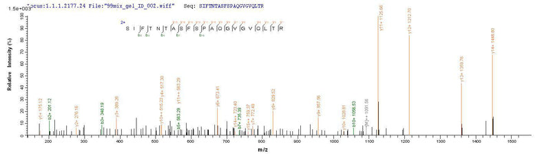 Based on the SEQUEST from database of E.coli host and target protein, the LC-MS/MS Analysis result of this product could indicate that this peptide derived from E.coli-expressed Escherichia coli (strain K12) fimH.Recombinant E.Coli Type 1 Fimbrin D-Mannose Specific Adhesin (FIMH) Protein (His-GST)