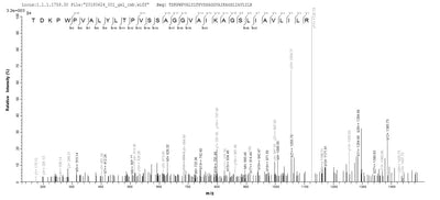 Based on the SEQUEST from database of E.coli host and target protein, the LC-MS/MS Analysis result of this product could indicate that this peptide derived from E.coli-expressed Escherichia coli (strain K12) fimH.Recombinant E.Coli Type 1 Fimbrin D-Mannose Specific Adhesin (FIMH) Protein (His)