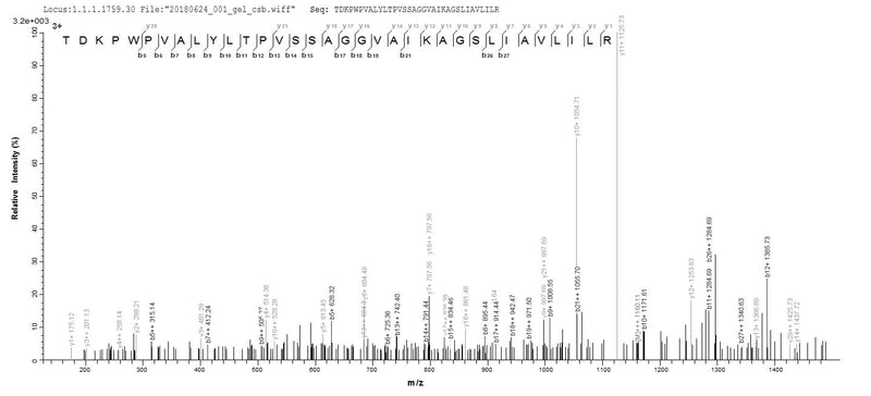 Based on the SEQUEST from database of E.coli host and target protein, the LC-MS/MS Analysis result of this product could indicate that this peptide derived from E.coli-expressed Escherichia coli (strain K12) fimH.Recombinant E.Coli Type 1 Fimbrin D-Mannose Specific Adhesin (FIMH) Protein (His)