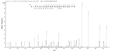 Based on the SEQUEST from database of E.coli host and target protein, the LC-MS/MS Analysis result of this product could indicate that this peptide derived from E.coli-expressed Escherichia coli (strain K12) fimH.Recombinant E.Coli Type 1 Fimbrin D-Mannose Specific Adhesin (FIMH) Protein (His)