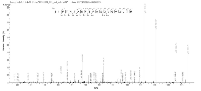 Based on the SEQUEST from database of E.coli host and target protein, the LC-MS/MS Analysis result of this product could indicate that this peptide derived from E.coli-expressed Escherichia coli (strain K12) fimH.Recombinant E.Coli Type 1 Fimbrin D-Mannose Specific Adhesin (FIMH) Protein (His)