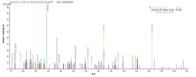 Based on the SEQUEST from database of E.coli host and target protein, the LC-MS/MS Analysis result of this product could indicate that this peptide derived from E.coli-expressed Mycobacterium tuberculosis (strain CDC 1551 / Oshkosh) fbpC.Recombinant Mycobacterium Tuberculosis Diacylglycerol Acyltransferase/Mycolyltransferase Ag85C (FBPC) Protein (His)