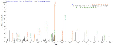 Based on the SEQUEST from database of E.coli host and target protein, the LC-MS/MS Analysis result of this product could indicate that this peptide derived from E.coli-expressed Mycobacterium tuberculosis (strain CDC 1551 / Oshkosh) fbpC.Recombinant Mycobacterium Tuberculosis Diacylglycerol Acyltransferase/Mycolyltransferase Ag85C (FBPC) Protein (His)