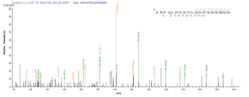 Based on the SEQUEST from database of E.coli host and target protein, the LC-MS/MS Analysis result of this product could indicate that this peptide derived from E.coli-expressed Mycobacterium tuberculosis (strain CDC 1551 / Oshkosh) fbpC.Recombinant Mycobacterium Tuberculosis Diacylglycerol Acyltransferase/Mycolyltransferase Ag85C (FBPC) Protein (His)