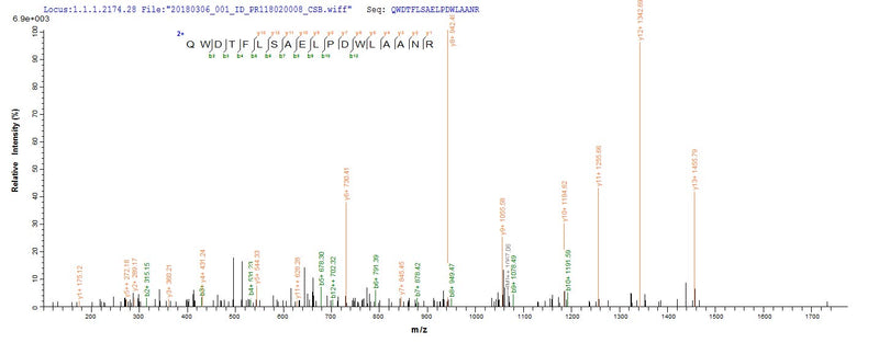 Based on the SEQUEST from database of E.coli host and target protein, the LC-MS/MS Analysis result of this product could indicate that this peptide derived from E.coli-expressed Mycobacterium tuberculosis mpt51.Recombinant Mycobacterium Tuberculosis Mpt51/Mpb51 Antigen (MPT51) Protein (His-SUMO)