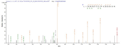 Based on the SEQUEST from database of E.coli host and target protein, the LC-MS/MS Analysis result of this product could indicate that this peptide derived from E.coli-expressed Escherichia coli (strain K12) ruvB.Recombinant E.Coli Holliday Junction Atp-Dependent Dna Helicase Ruvb (RUVB) Protein (His-SUMO)