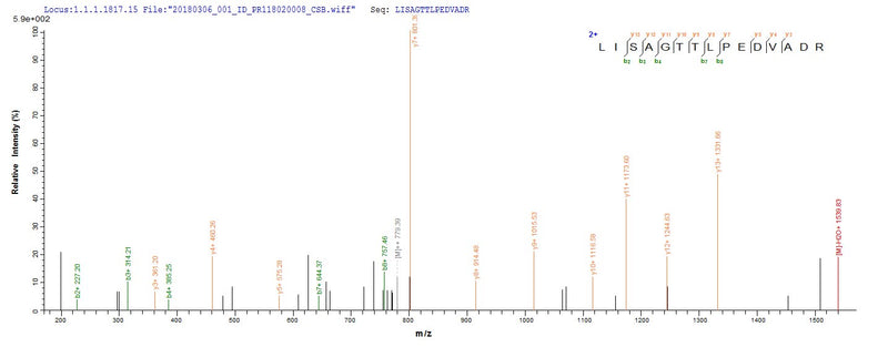 Based on the SEQUEST from database of E.coli host and target protein, the LC-MS/MS Analysis result of this product could indicate that this peptide derived from E.coli-expressed Escherichia coli (strain K12) ruvB.Recombinant E.Coli Holliday Junction Atp-Dependent Dna Helicase Ruvb (RUVB) Protein (His-SUMO)