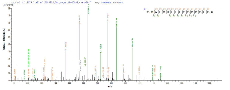 Based on the SEQUEST from database of E.coli host and target protein, the LC-MS/MS Analysis result of this product could indicate that this peptide derived from E.coli-expressed Escherichia coli (strain K12) ruvB.Recombinant E.Coli Holliday Junction Atp-Dependent Dna Helicase Ruvb (RUVB) Protein (His-SUMO)