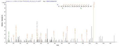 Based on the SEQUEST from database of E.coli host and target protein, the LC-MS/MS Analysis result of this product could indicate that this peptide derived from E.coli-expressed Escherichia coli (strain K12) pal.