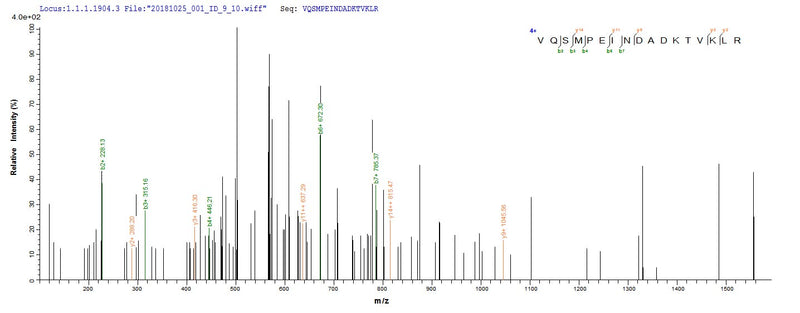 Based on the SEQUEST from database of E.coli host and target protein, the LC-MS/MS Analysis result of this product could indicate that this peptide derived from E.coli-expressed Escherichia coli (strain K12) bamA.Recombinant E.Coli Outer Membrane Protein Assembly Factor Bama (BAMA) Protein (His&Myc)