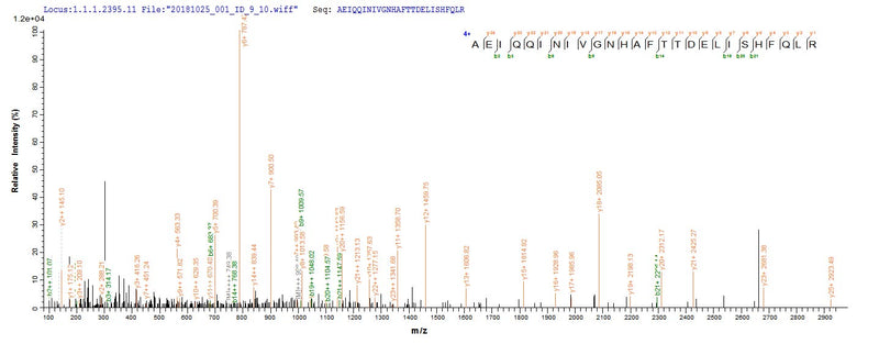Based on the SEQUEST from database of E.coli host and target protein, the LC-MS/MS Analysis result of this product could indicate that this peptide derived from E.coli-expressed Escherichia coli (strain K12) bamA.Recombinant E.Coli Outer Membrane Protein Assembly Factor Bama (BAMA) Protein (His&Myc)