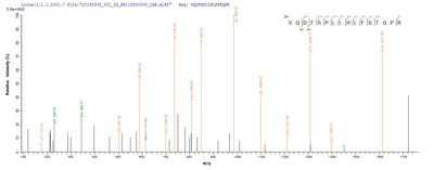 Based on the SEQUEST from database of E.coli host and target protein, the LC-MS/MS Analysis result of this product could indicate that this peptide derived from E.coli-expressed Escherichia coli O6:H1 (strain CFT073 / ATCC 700928 / UPEC) glcC.
