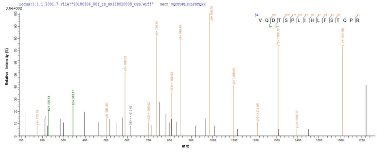 Based on the SEQUEST from database of E.coli host and target protein, the LC-MS/MS Analysis result of this product could indicate that this peptide derived from E.coli-expressed Escherichia coli O6:H1 (strain CFT073 / ATCC 700928 / UPEC) glcC.