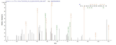 Based on the SEQUEST from database of E.coli host and target protein, the LC-MS/MS Analysis result of this product could indicate that this peptide derived from E.coli-expressed Escherichia coli O6:H1 (strain CFT073 / ATCC 700928 / UPEC) glcC.