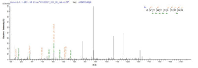 Based on the SEQUEST from database of E.coli host and target protein, the LC-MS/MS Analysis result of this product could indicate that this peptide derived from E.coli-expressed Aspergillus giganteus sar.