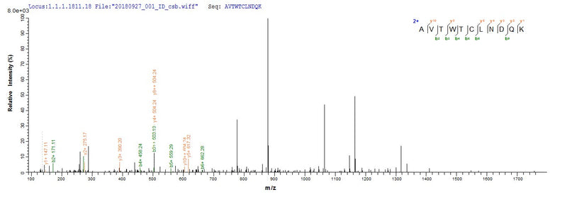 Based on the SEQUEST from database of E.coli host and target protein, the LC-MS/MS Analysis result of this product could indicate that this peptide derived from E.coli-expressed Aspergillus giganteus sar.
