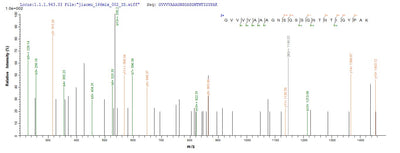Based on the SEQUEST from database of E.coli host and target protein, the LC-MS/MS Analysis result of this product could indicate that this peptide derived from E.coli-expressed Bacillus licheniformis apr.