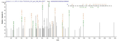 Based on the SEQUEST from database of E.coli host and target protein, the LC-MS/MS Analysis result of this product could indicate that this peptide derived from E.coli-expressed Gadus morhua subsp. callarias (Baltic cod) (Gadus callarias) N/A.Recombinant Gadus Morhua Subsp. Callarias Parvalbumin Beta Protein (His)