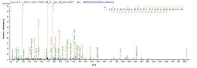 Based on the SEQUEST from database of E.coli host and target protein, the LC-MS/MS Analysis result of this product could indicate that this peptide derived from E.coli-expressed Gadus morhua subsp. callarias (Baltic cod) (Gadus callarias) N/A.Recombinant Gadus Morhua Subsp. Callarias Parvalbumin Beta Protein (His)