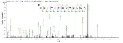 Based on the SEQUEST from database of E.coli host and target protein, the LC-MS/MS Analysis result of this product could indicate that this peptide derived from E.coli-expressed Human papillomavirus type 16 L2.Recombinant Human Papillomavirus Type 16 Minor Capsid Protein L2 (L2) Protein (His-SUMO)