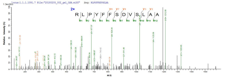Based on the SEQUEST from database of E.coli host and target protein, the LC-MS/MS Analysis result of this product could indicate that this peptide derived from E.coli-expressed Human papillomavirus type 16 L2.Recombinant Human Papillomavirus Type 16 Minor Capsid Protein L2 (L2) Protein (His-SUMO)