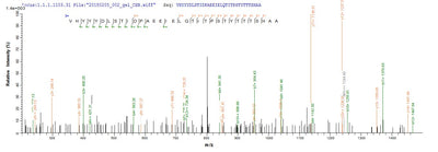 Based on the SEQUEST from database of E.coli host and target protein, the LC-MS/MS Analysis result of this product could indicate that this peptide derived from E.coli-expressed Human papillomavirus type 16 L2.Recombinant Human Papillomavirus Type 16 Minor Capsid Protein L2 (L2) Protein (His-SUMO)