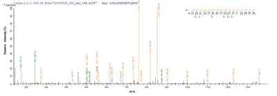 Based on the SEQUEST from database of E.coli host and target protein, the LC-MS/MS Analysis result of this product could indicate that this peptide derived from E.coli-expressed Homo sapiens (Human) E2.