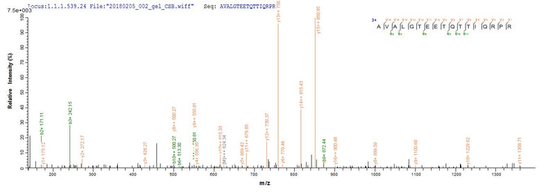 Based on the SEQUEST from database of E.coli host and target protein, the LC-MS/MS Analysis result of this product could indicate that this peptide derived from E.coli-expressed Homo sapiens (Human) E2.