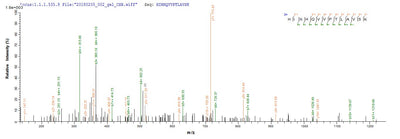 Based on the SEQUEST from database of E.coli host and target protein, the LC-MS/MS Analysis result of this product could indicate that this peptide derived from E.coli-expressed Homo sapiens (Human) E2.
