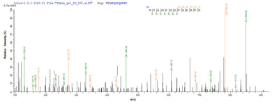 Based on the SEQUEST from database of E.coli host and target protein, the LC-MS/MS Analysis result of this product could indicate that this peptide derived from E.coli-expressed Homo sapiens (Human) E6.