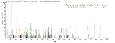 Based on the SEQUEST from database of E.coli host and target protein, the LC-MS/MS Analysis result of this product could indicate that this peptide derived from E.coli-expressed Homo sapiens (Human) E6.Recombinant Human Papillomavirus Type 16 Protein E6 (E6) Protein (His)