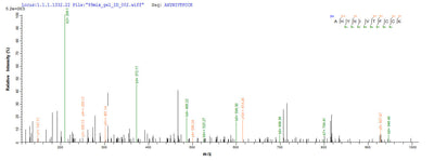 Based on the SEQUEST from database of E.coli host and target protein, the LC-MS/MS Analysis result of this product could indicate that this peptide derived from E.coli-expressed Homo sapiens (Human) E7.Recombinant Human Papillomavirus Type 16 Protein E7 (E7) Protein (His)