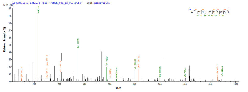 Based on the SEQUEST from database of E.coli host and target protein, the LC-MS/MS Analysis result of this product could indicate that this peptide derived from E.coli-expressed Homo sapiens (Human) E7.Recombinant Human Papillomavirus Type 16 Protein E7 (E7) Protein (His)