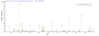 Based on the SEQUEST from database of E.coli host and target protein, the LC-MS/MS Analysis result of this product could indicate that this peptide derived from E.coli-expressed Homo sapiens (Human) E7.Recombinant Human Papillomavirus Type 16 Protein E7 (E7) Protein (His)