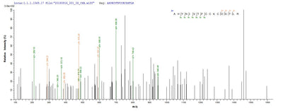 Based on the SEQUEST from database of E.coli host and target protein, the LC-MS/MS Analysis result of this product could indicate that this peptide derived from E.coli-expressed Human papillomavirus type 16 E7.Recombinant Human Papillomavirus Type 16 Protein E7 (E7) Protein (GST)